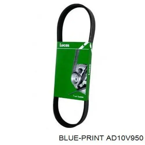 Купити AD10V950 Blue Print Ремінь генератора