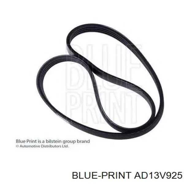 Купити AD13V925 Blue Print Ремінь генератора