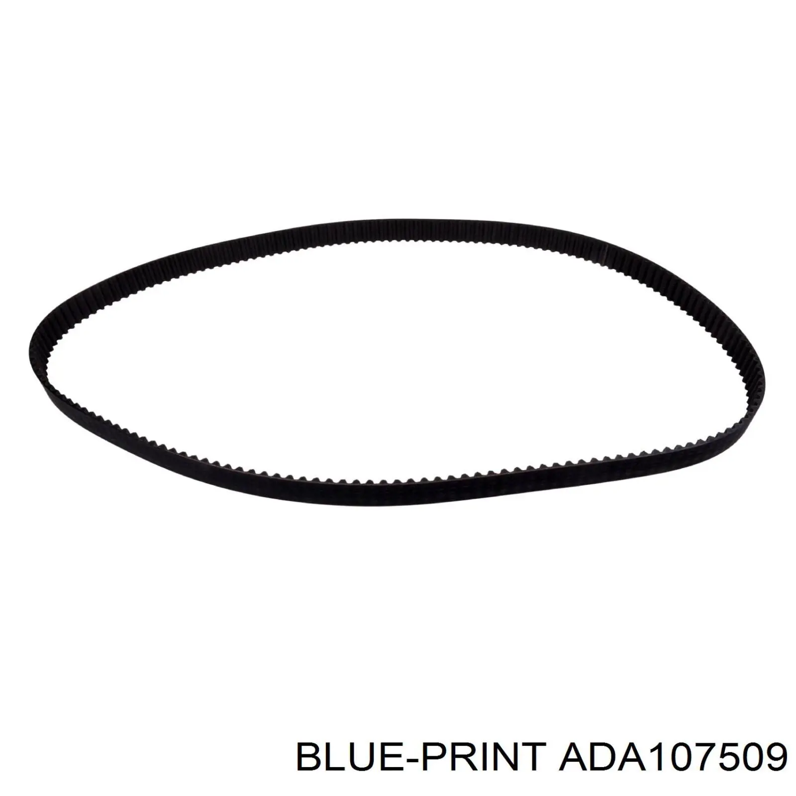 ADA107509 Blue Print ремінь грм