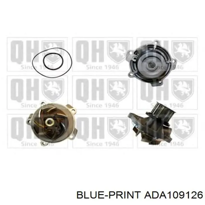 Помпа охолодження Akron Malo 130420 ціна, від 55.00 USD