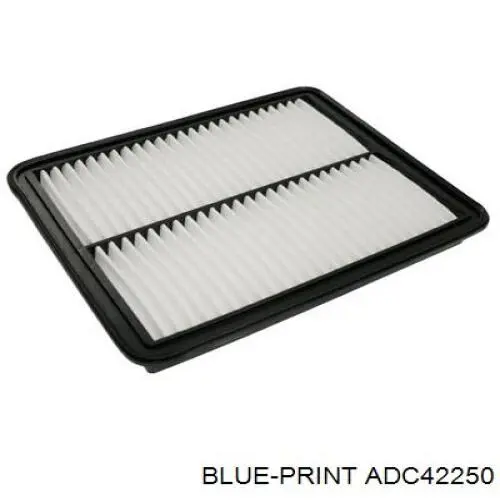 Повітряний фільтр ADC42250 Blue Print