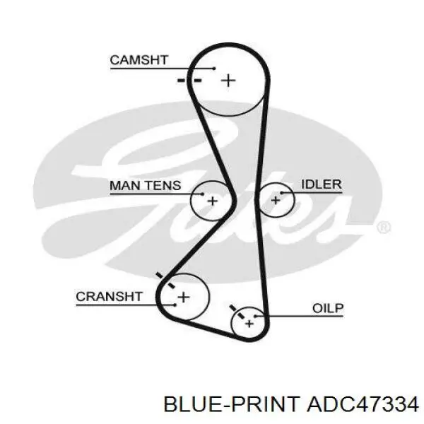 Купити ADC47334 Blue Print ГРМ ремень