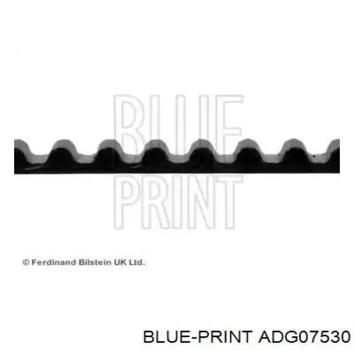 Ремінь балансувального вала ADG07530 Blue Print