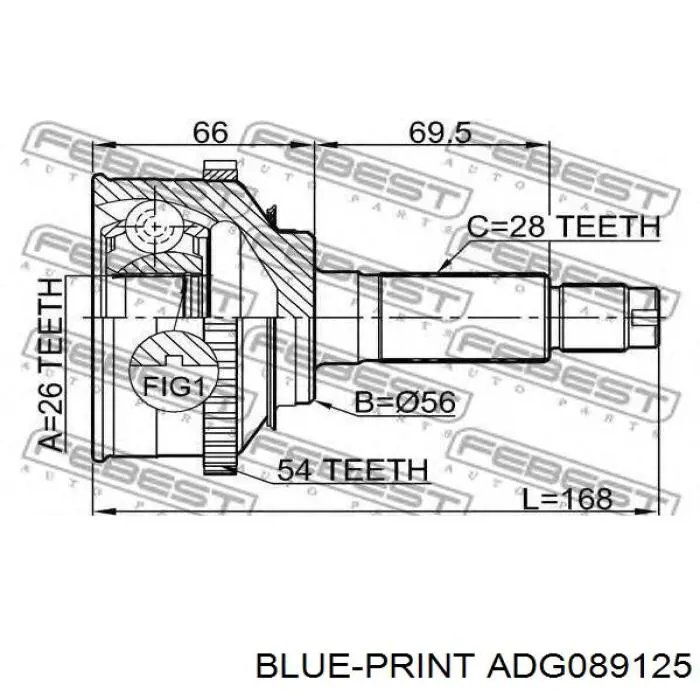 Купити ADG089125 Blue Print Шарнір приводу зовнішній