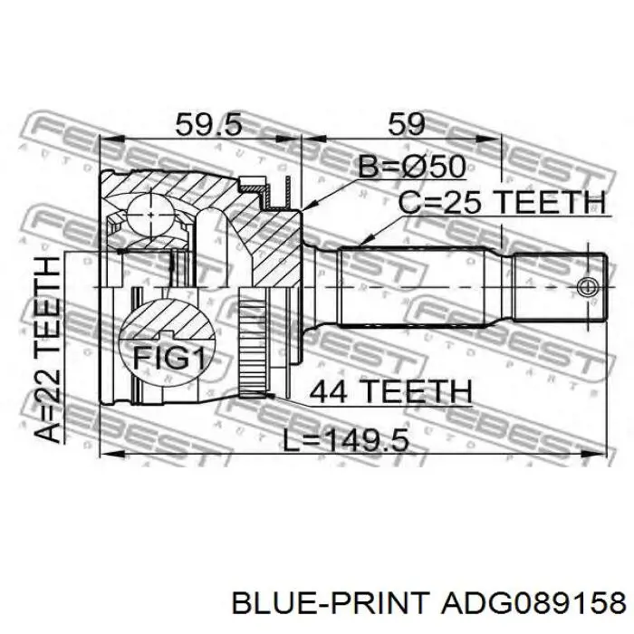 ADG089158 Blue Print Граната зовнішня