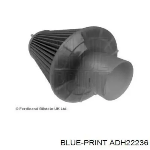 Купити ADH22236 Blue Print Автомобільний фільтр повітря