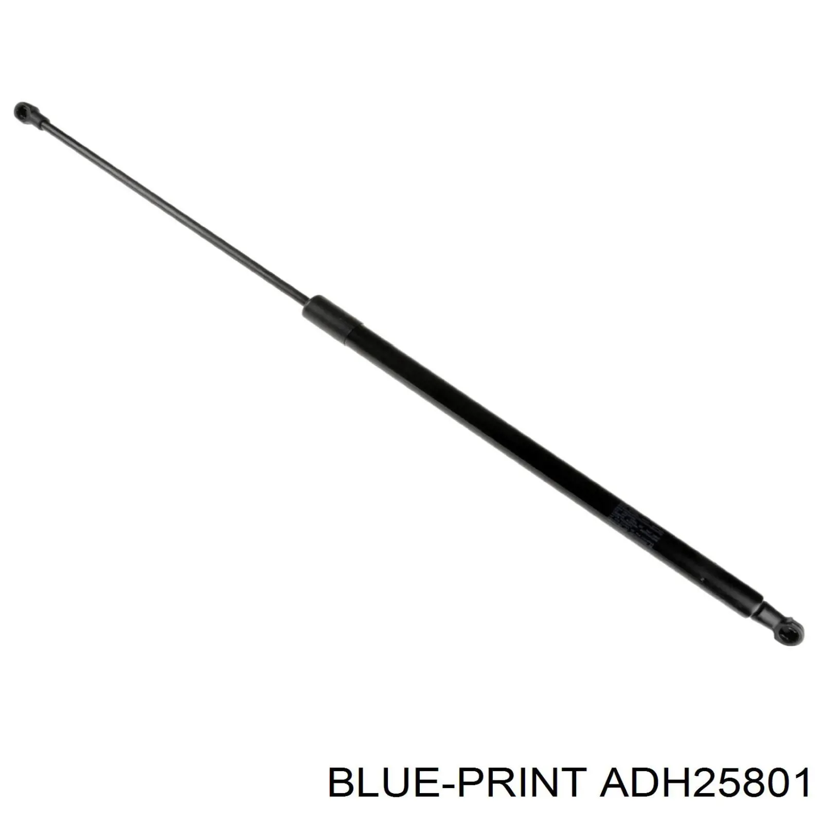 ADH25801 Blue Print Амортизатор кришки багажника / двері 3/5-ї задньої