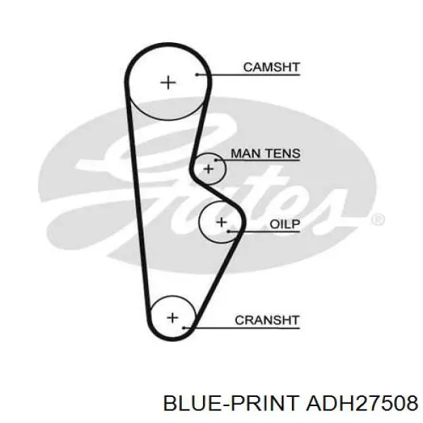 Купити ADH27508 Blue Print Ремінь газорозподільного механізму