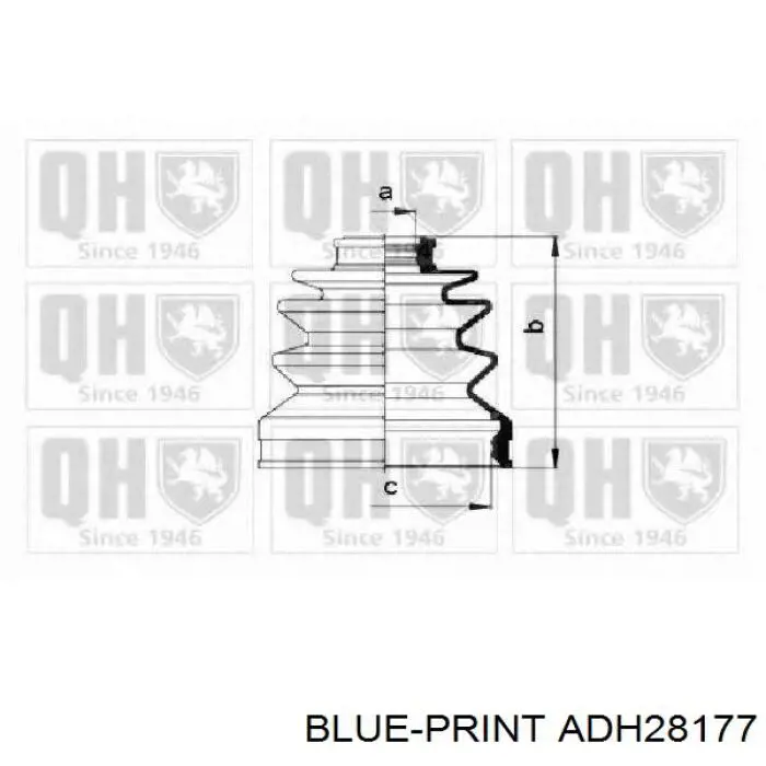Купити ADH28177 Blue Print Пильник шарніра кутових швидкостей внутрішній передній