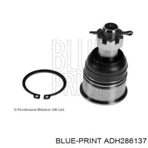 Купити ADH286137 Blue Print Кульова опора, нижня