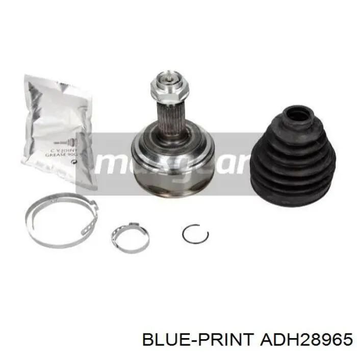 ADH28965 Blue Print Граната зовнішня