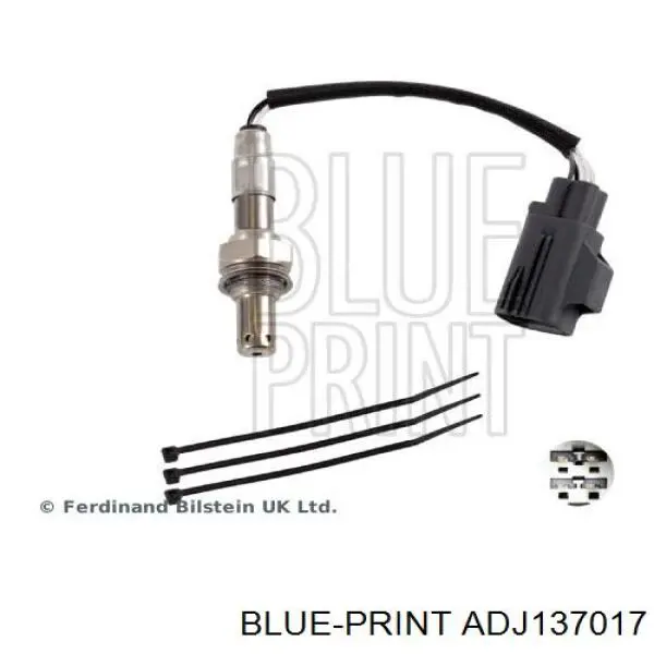  ADJ137017 Blue Print