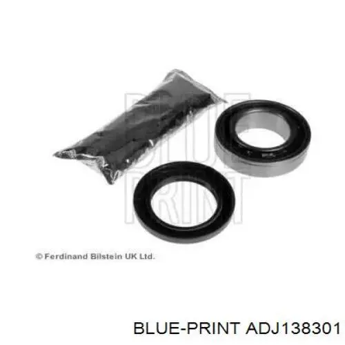  ADJ138301 Blue Print