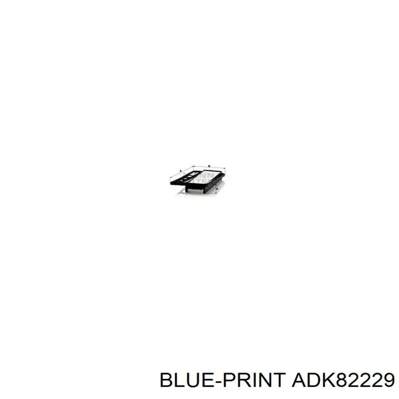 Повітряний фільтр ADK82229 Blue Print