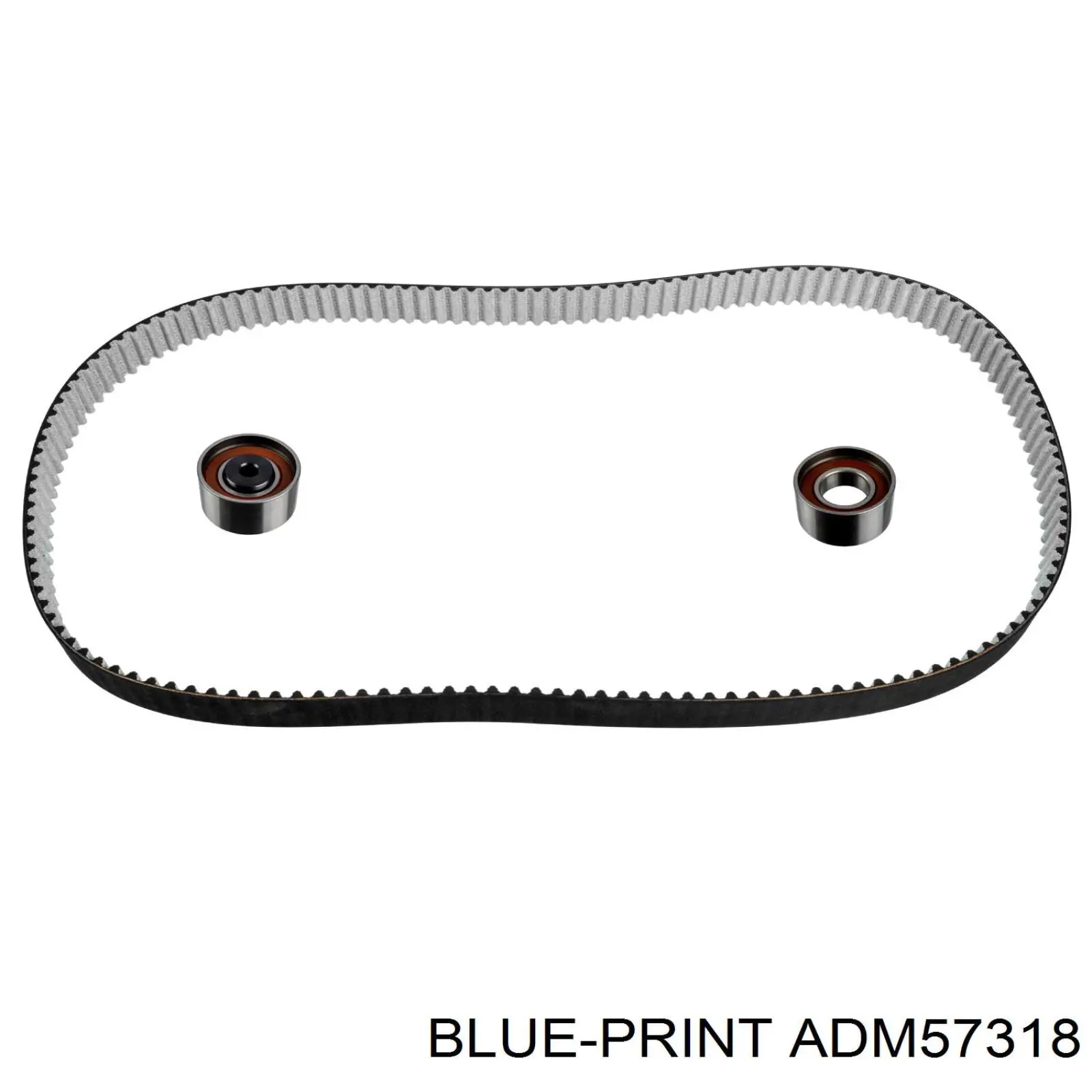 Купити ADM57318 Blue Print ГРМ ремень