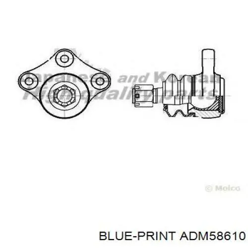 Купити ADM58610 Blue Print Кульова опора, нижня