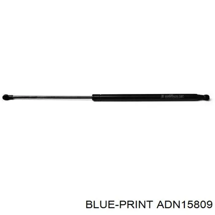 Купити ADN15809 Blue Print Амортизатор двері багажника