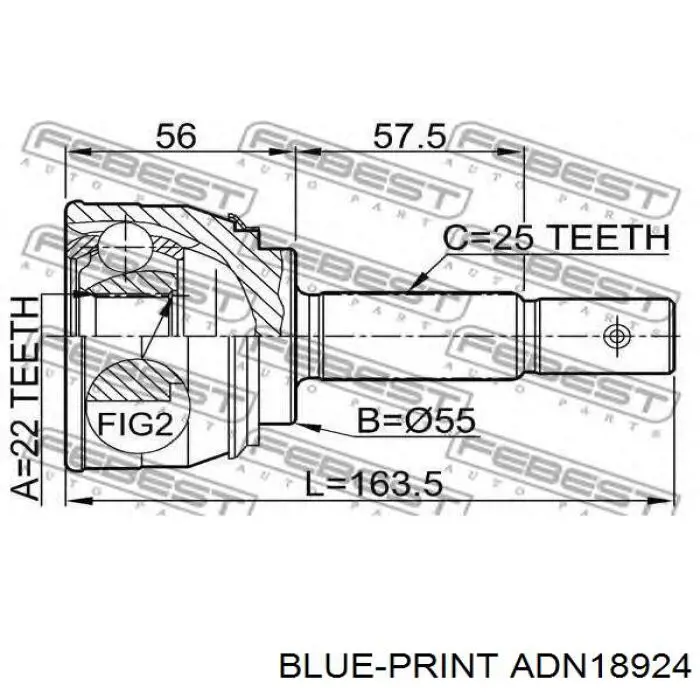 Купити ADN18924 Blue Print Шарнір приводу зовнішній