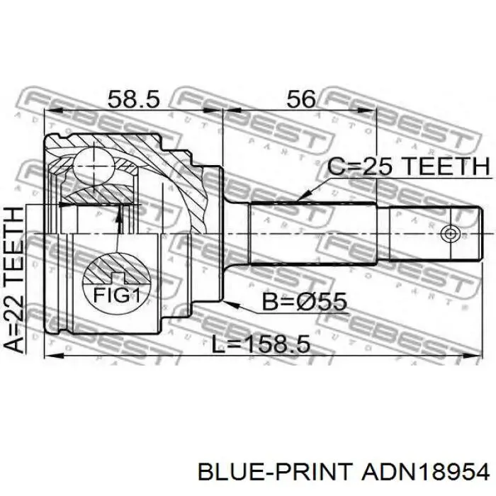 ШРУС зовнішній передній ADN18954 Blue Print