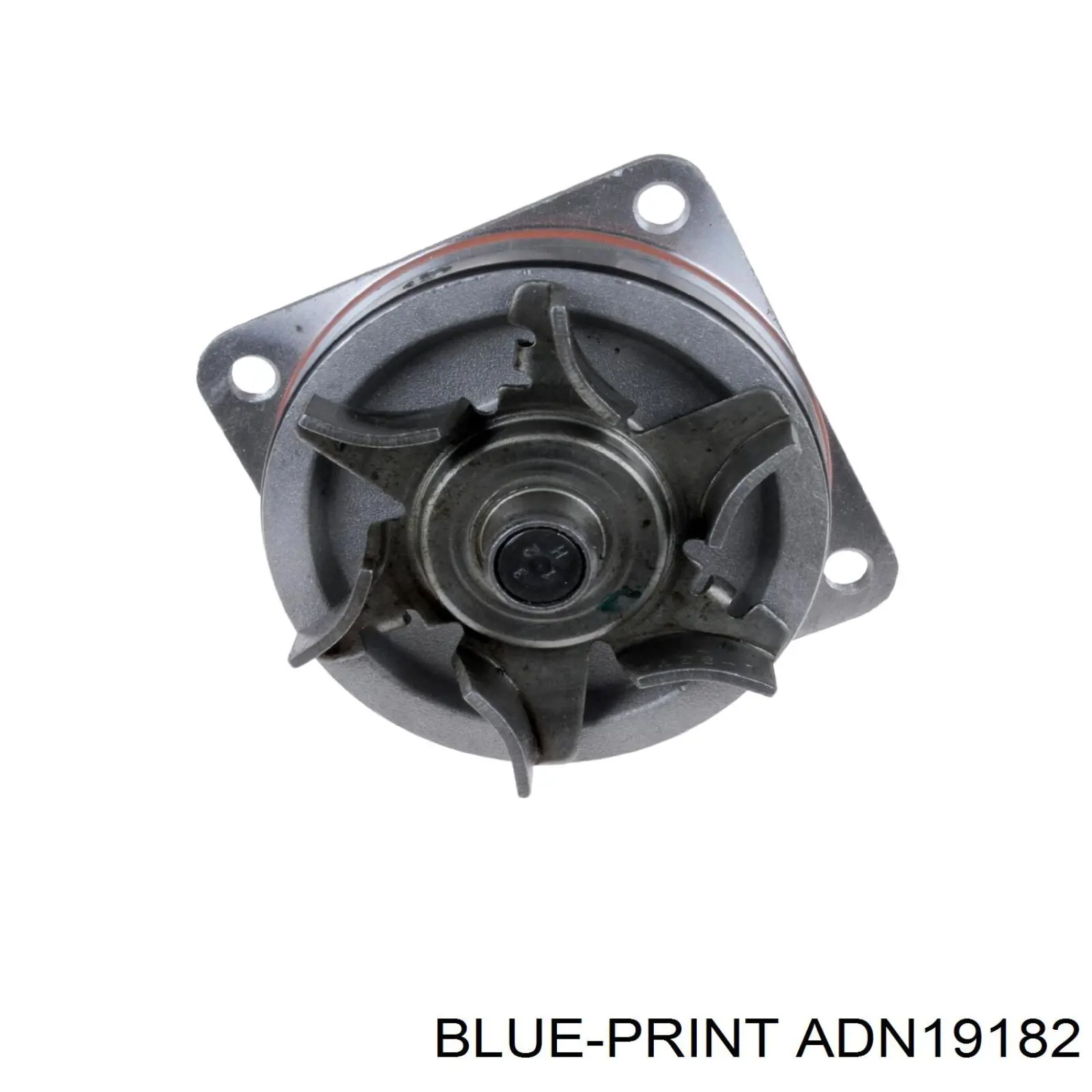 Помпа охолодження Renault (RVI) 8201050183 ціна, від 48.18 USD