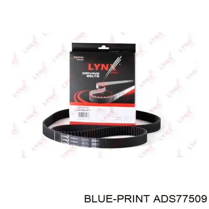 Купити ADS77509 Blue Print Ремінь газорозподільного механізму