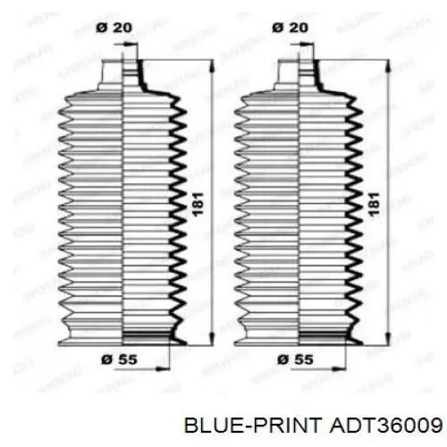  ADT36009 Blue Print