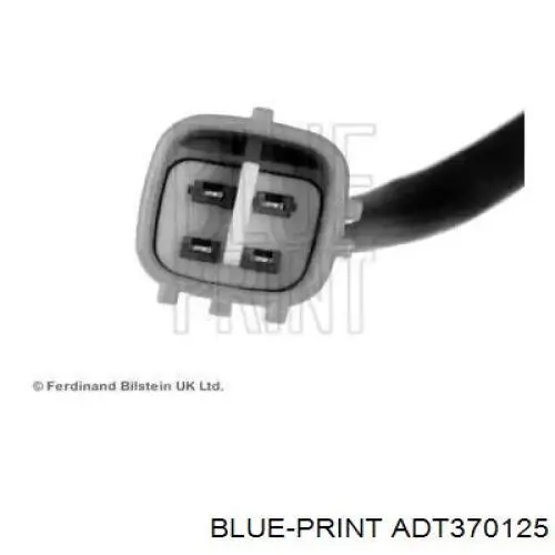  ADT370125 Blue Print