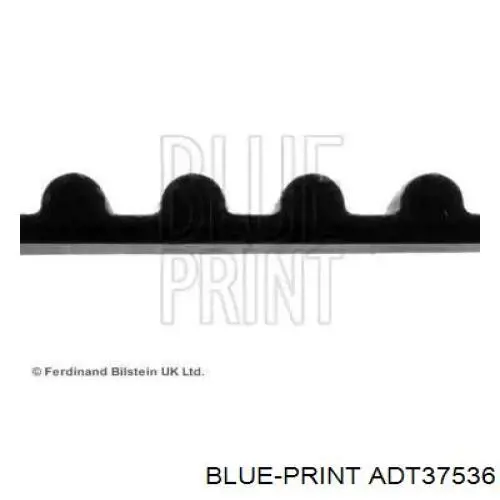 ADT37536 Blue Print Ремінь двигуна