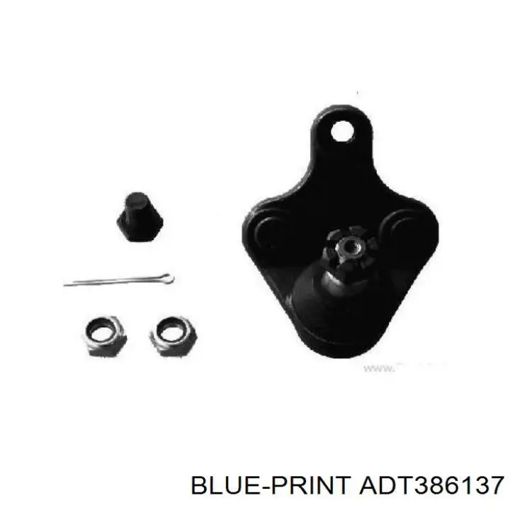 Купити ADT386137 Blue Print Кульова опора, нижня
