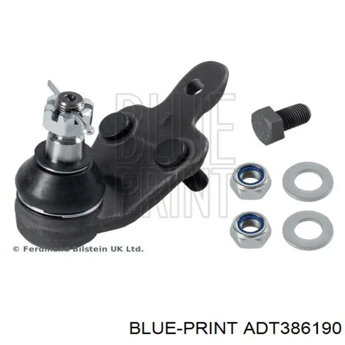RD993538113 Rider Кульова опора, нижня, права