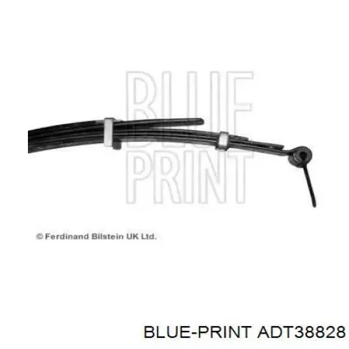  ADT38828 Blue Print