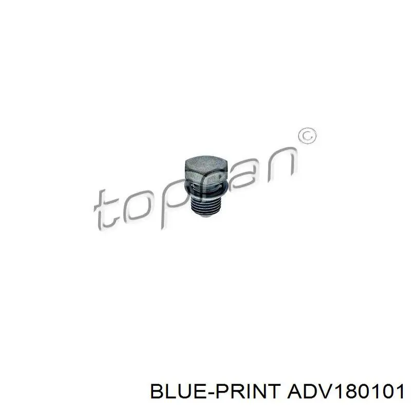 Болт піддона Blue Print ADV180101