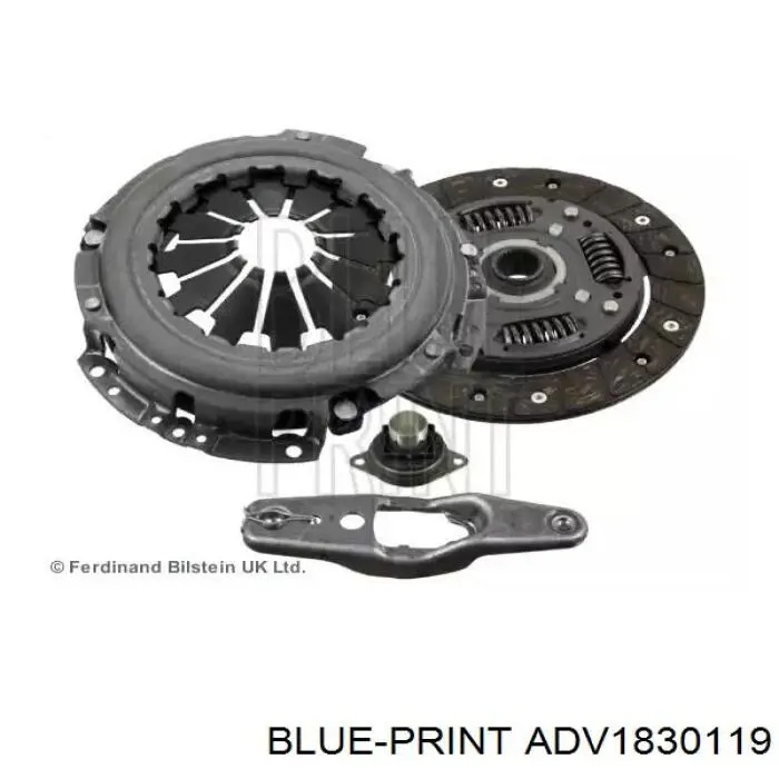  ADV1830119 Blue Print