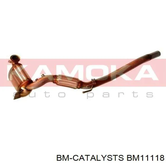  BM11118 BM Catalysts