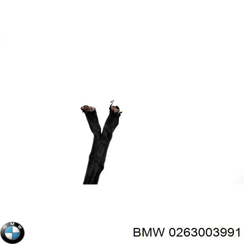 0263003991 BMW 