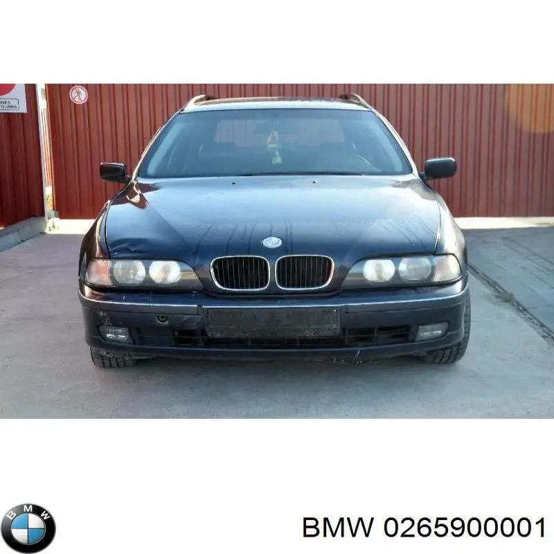0265900001 BMW модуль керування (ебу АБС (ABS))