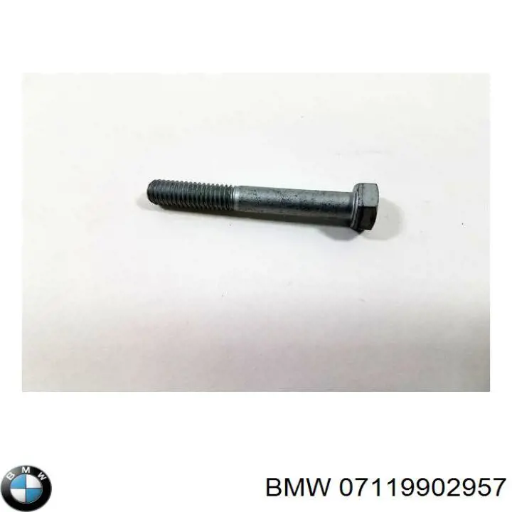  07119902957 BMW