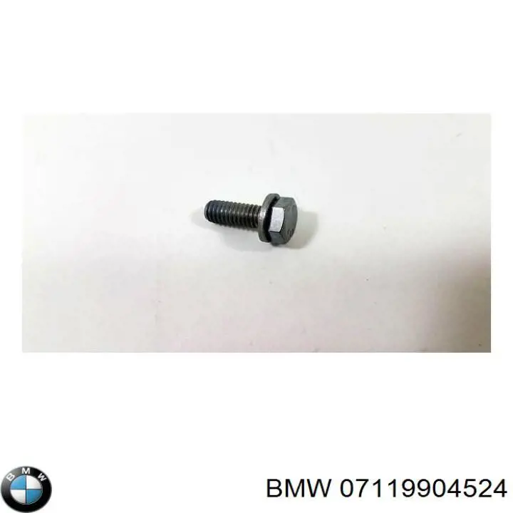 Купити 07119904524 BMW Болт переднього важеля, нижнього