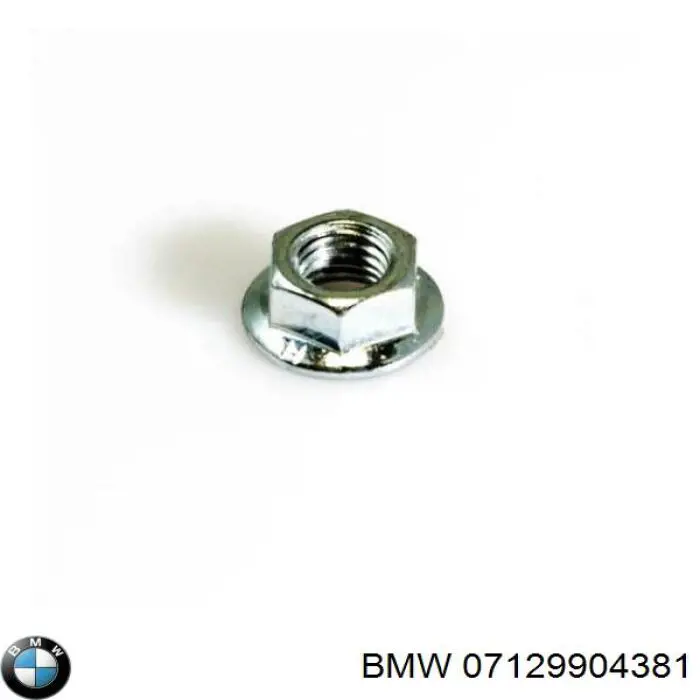  07129904381 BMW