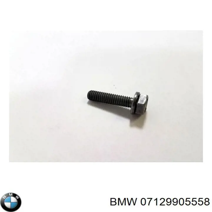  7129905558 BMW