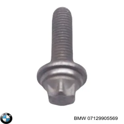 Болт головки блока циліндрів, ГБЦ BMW 7129905569 ціна, від 1.11 USD