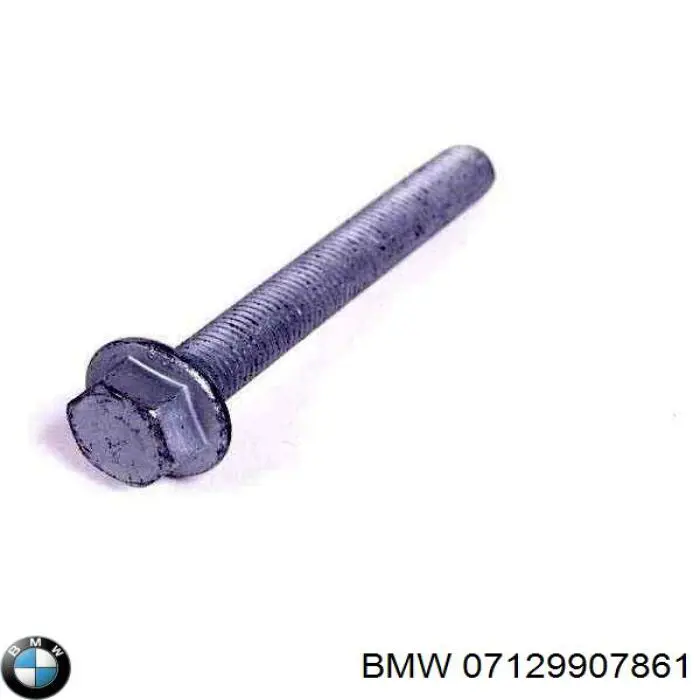 Болт переднього важеля, нижнього BMW 7129907861 ціна, від 5.69 USD