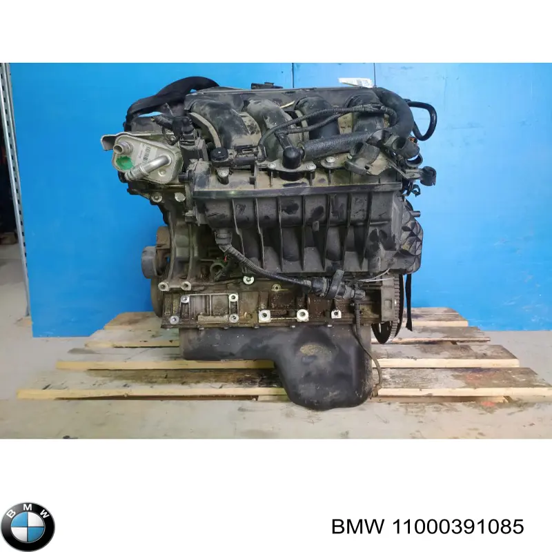 Двигун у зборі 11000391085 BMW