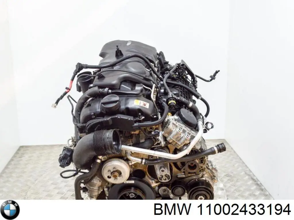 Двигун 11002433194 BMW
