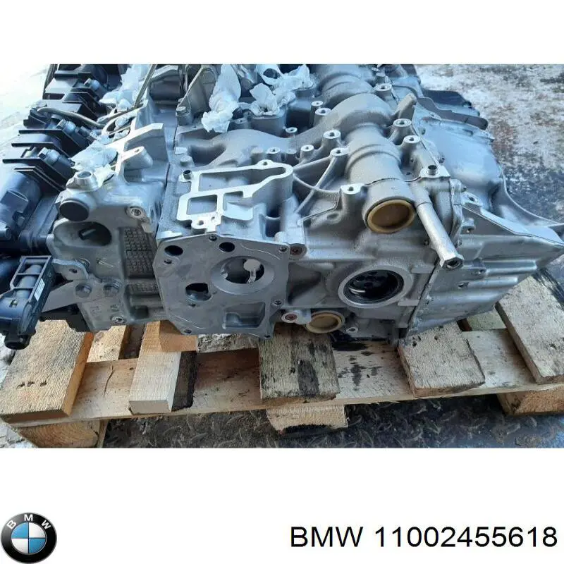 Купити 11002455618 BMW Двигун