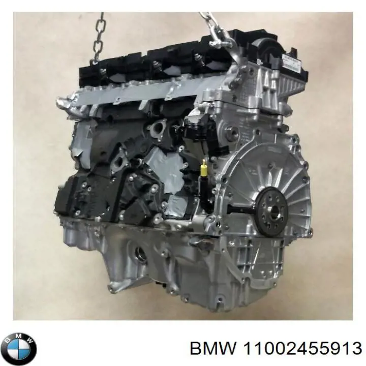 Двигун у зборі 11002455913 BMW