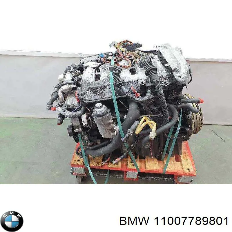  11007789801 BMW