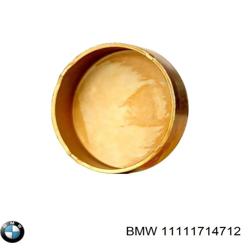 Заглушка блоку циліндрів 07119937331 BMW