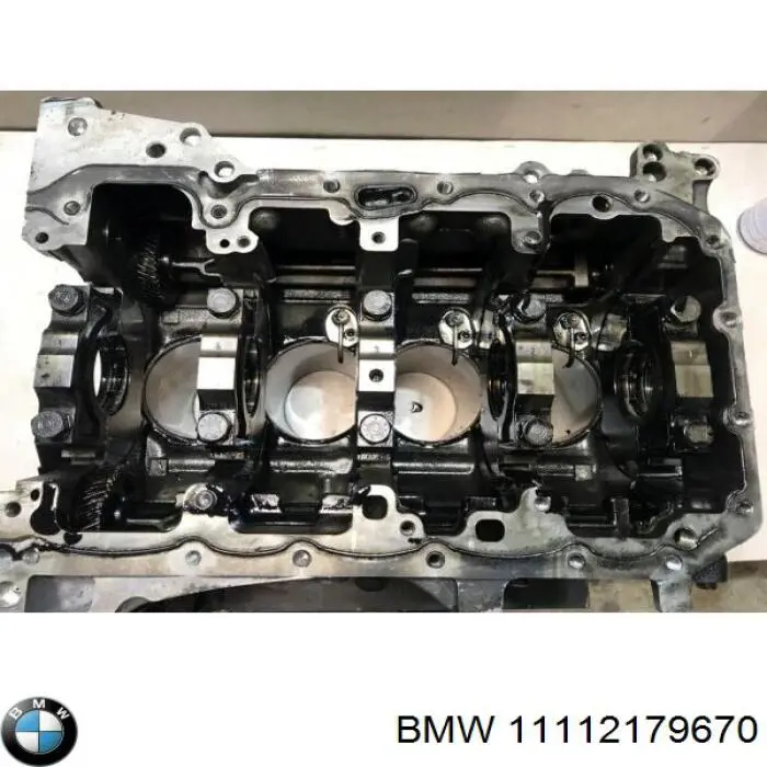 Купити 12517603315 BMW Блок двигуна
