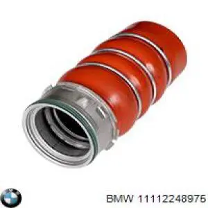 Комплект прокладок двигуна, нижній BMW 11112248975